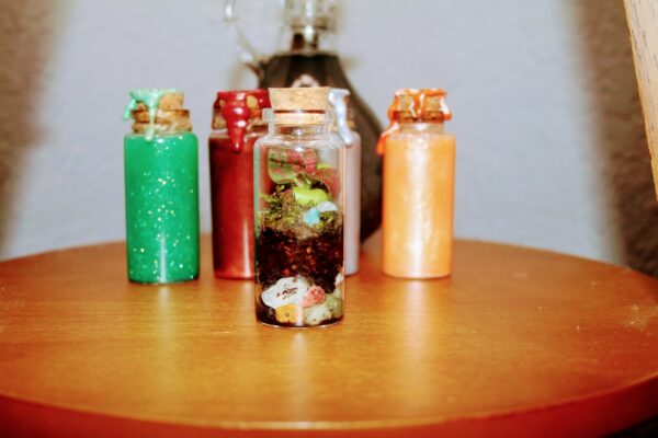 Pocket Terrarium - Image 2