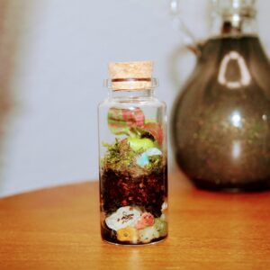 Pocket Terrarium