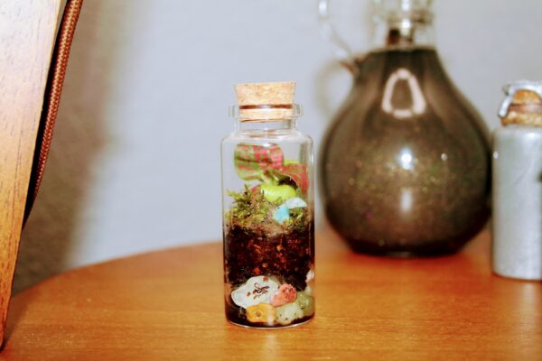 Pocket Terrarium
