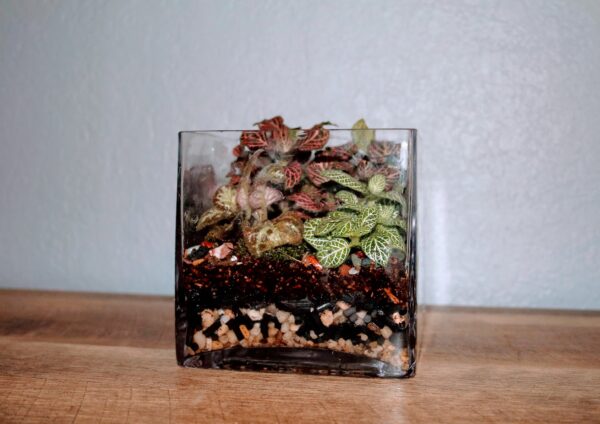 Cube Terrarium